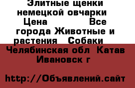 Элитные щенки немецкой овчарки › Цена ­ 30 000 - Все города Животные и растения » Собаки   . Челябинская обл.,Катав-Ивановск г.